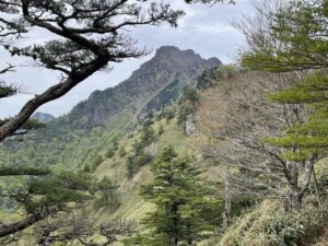岩山と松の木の山景色
